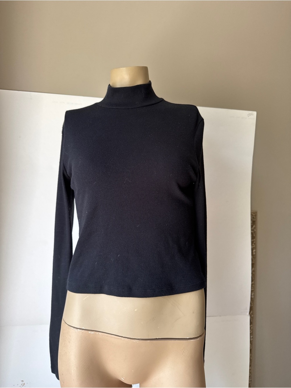 American Eagle Outfitters Black Ribbed cropped turtleneck Long Sleeve Top